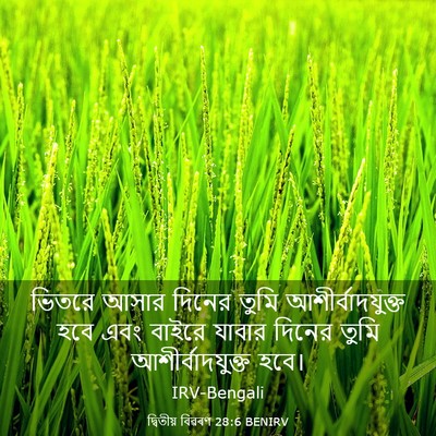 Picture 03 - দ্বিতীয় বিৱৰণ 28:6 BENIRV - ভিতরে আসার দিনের - Bible Verse Picture