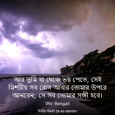 Picture 03 - দ্বিতীয় বিৱৰণ 28:60 BENIRV - আর তুমি যা থেকে ভয় - Bible Verse Picture
