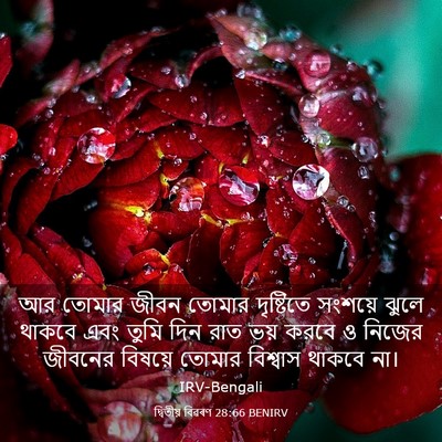 Picture 03 - দ্বিতীয় বিৱৰণ 28:66 BENIRV - আর তোমার জীবন - Bible Verse Picture