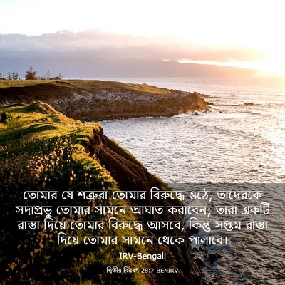 Picture 03 - দ্বিতীয় বিৱৰণ 28:7 BENIRV - তোমার যে শত্রুরা - Bible Verse Picture