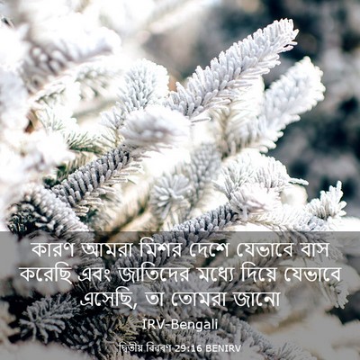 Picture 03 - দ্বিতীয় বিৱৰণ 29:16 BENIRV - কারণ আমরা মিশর - Bible Verse Picture