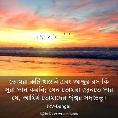 Picture 03 - দ্বিতীয় বিৱৰণ 29:6 BENIRV - তোমরা রুটি খাওনি - Bible Verse Picture