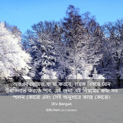 Picture 03 - দ্বিতীয় বিৱৰণ 29:9 BENIRV - অতএব তোমরা যা যা - Bible Verse Picture