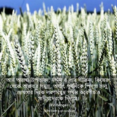 Picture 03 - দ্বিতীয় বিৱৰণ 3:17 BENIRV - আর অরাবা উপত্যকা, - Bible Verse Picture