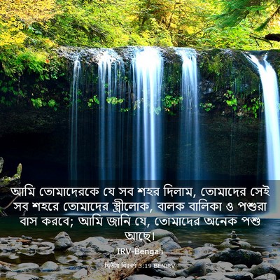 Picture 03 - দ্বিতীয় বিৱৰণ 3:19 BENIRV - আমি তোমাদেরকে যে - Bible Verse Picture