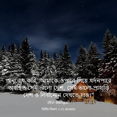 Picture 03 - দ্বিতীয় বিৱৰণ 3:25 BENIRV - অনুরোধ করি, আমাকে - Bible Verse Picture