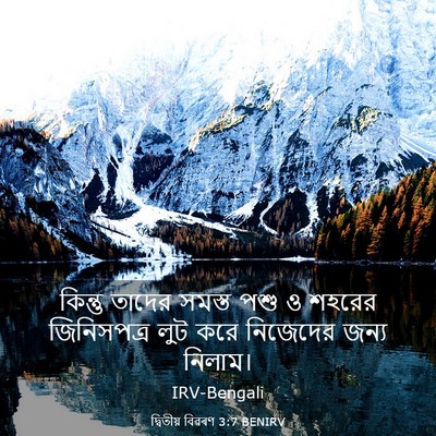 Picture 03 - দ্বিতীয় বিৱৰণ 3:7 BENIRV - কিন্তু তাদের - Bible Verse Picture