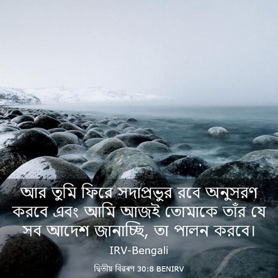Picture 03 - দ্বিতীয় বিৱৰণ 30:8 BENIRV - আর তুমি ফিরে - Bible Verse Picture