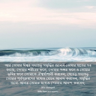 Picture 03 - দ্বিতীয় বিৱৰণ 30:9 BENIRV - আর তোমার ঈশ্বর - Bible Verse Picture