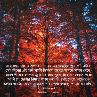 Picture 03 - দ্বিতীয় বিৱৰণ 31:21 BENIRV - আর যখন তাদের ওপরে - Bible Verse Picture