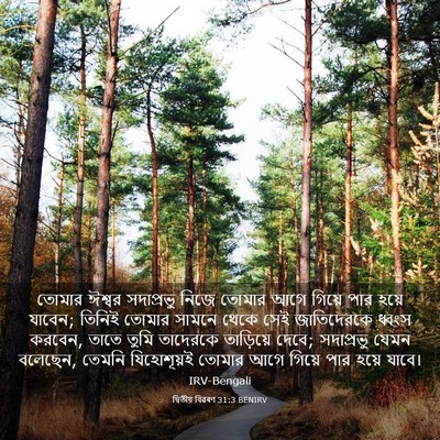 Picture 03 - দ্বিতীয় বিৱৰণ 31:3 BENIRV - তোমার ঈশ্বর - Bible Verse Picture