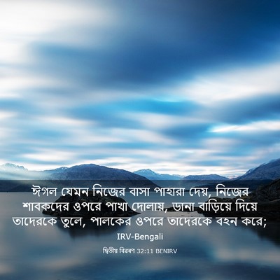 Picture 03 - দ্বিতীয় বিৱৰণ 32:11 BENIRV - ঈগল যেমন নিজের - Bible Verse Picture
