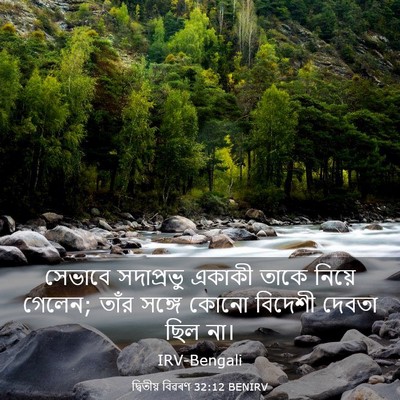 Picture 03 - দ্বিতীয় বিৱৰণ 32:12 BENIRV - সেভাবে সদাপ্রভু - Bible Verse Picture