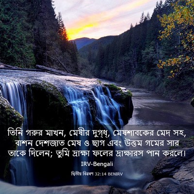 Picture 03 - দ্বিতীয় বিৱৰণ 32:14 BENIRV - তিনি গরুর মাখন, - Bible Verse Picture