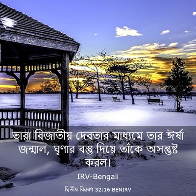 Picture 03 - দ্বিতীয় বিৱৰণ 32:16 BENIRV - তারা বিজাতীয় - Bible Verse Picture