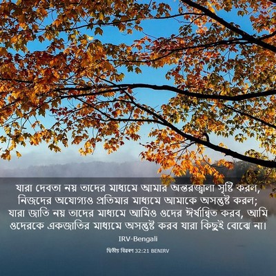 Picture 03 - দ্বিতীয় বিৱৰণ 32:21 BENIRV - যারা দেবতা নয় - Bible Verse Picture