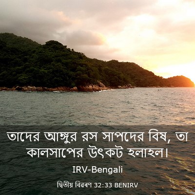 Picture 03 - দ্বিতীয় বিৱৰণ 32:33 BENIRV - তাদের আঙ্গুর রস - Bible Verse Picture