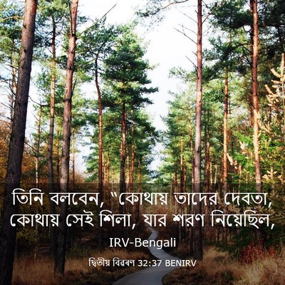 Picture 03 - দ্বিতীয় বিৱৰণ 32:37 BENIRV - তিনি বলবেন, - Bible Verse Picture