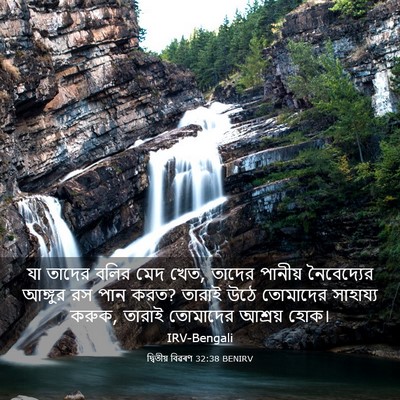 Picture 03 - দ্বিতীয় বিৱৰণ 32:38 BENIRV - যা তাদের বলির মেদ - Bible Verse Picture