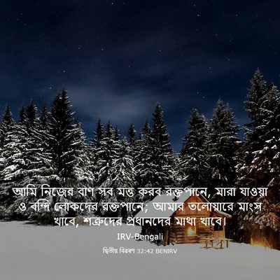 Picture 03 - দ্বিতীয় বিৱৰণ 32:42 BENIRV - আমি নিজের বাণ সব - Bible Verse Picture