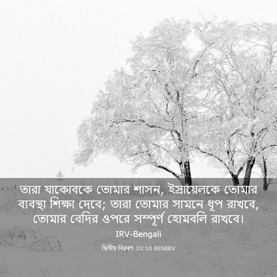 Picture 03 - দ্বিতীয় বিৱৰণ 33:10 BENIRV - তারা যাকোবকে - Bible Verse Picture