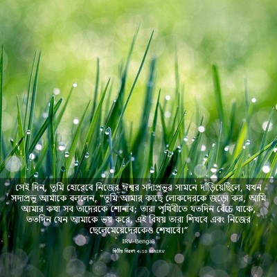 Picture 03 - দ্বিতীয় বিৱৰণ 4:10 BENIRV - সেই দিন, তুমি - Bible Verse Picture