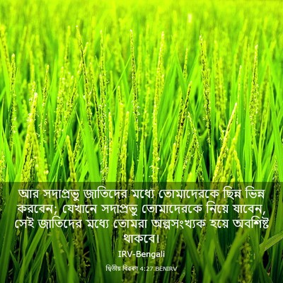 Picture 03 - দ্বিতীয় বিৱৰণ 4:27 BENIRV - আর সদাপ্রভু - Bible Verse Picture