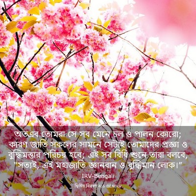 Picture 03 - দ্বিতীয় বিৱৰণ 4:6 BENIRV - অতএব তোমরা সে সব - Bible Verse Picture