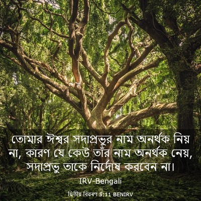 Picture 03 - দ্বিতীয় বিৱৰণ 5:11 BENIRV - তোমার ঈশ্বর - Bible Verse Picture