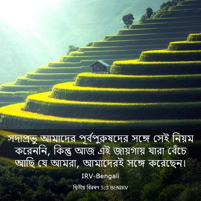 Picture 03 - দ্বিতীয় বিৱৰণ 5:3 BENIRV - সদাপ্রভু আমাদের - Bible Verse Picture