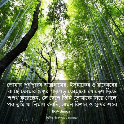 Picture 03 - দ্বিতীয় বিৱৰণ 6:10 BENIRV - তোমার পূর্বপুরুষ - Bible Verse Picture