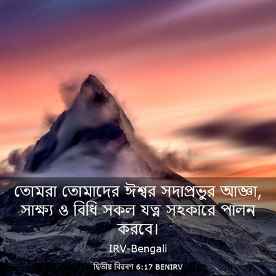Picture 03 - দ্বিতীয় বিৱৰণ 6:17 BENIRV - তোমরা তোমাদের - Bible Verse Picture