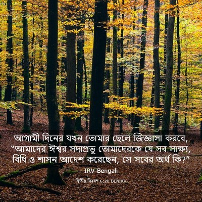 Picture 03 - দ্বিতীয় বিৱৰণ 6:20 BENIRV - আগামী দিনের যখন - Bible Verse Picture