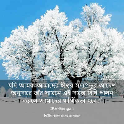 Picture 03 - দ্বিতীয় বিৱৰণ 6:25 BENIRV - যদি আমরা আমাদের - Bible Verse Picture