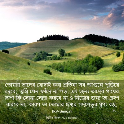 Picture 03 - দ্বিতীয় বিৱৰণ 7:25 BENIRV - তোমরা তাদের খোদাই - Bible Verse Picture