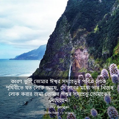 Picture 03 - দ্বিতীয় বিৱৰণ 7:6 BENIRV - কারণ তুমি তোমার - Bible Verse Picture