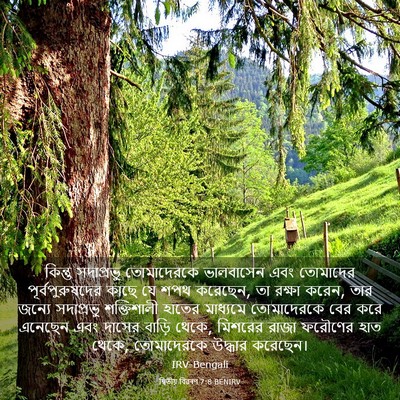 Picture 03 - দ্বিতীয় বিৱৰণ 7:8 BENIRV - কিন্তু সদাপ্রভু - Bible Verse Picture