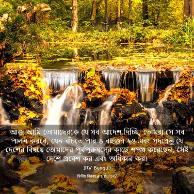 Picture 03 - দ্বিতীয় বিৱৰণ 8:1 BENIRV - আজ আমি তোমাদেরকে - Bible Verse Picture