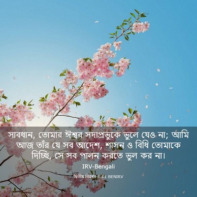 Picture 03 - দ্বিতীয় বিৱৰণ 8:11 BENIRV - সাবধান, তোমার - Bible Verse Picture