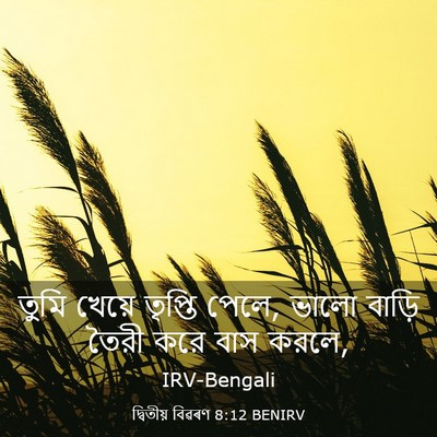 Picture 03 - দ্বিতীয় বিৱৰণ 8:12 BENIRV - তুমি খেয়ে তৃপ্তি - Bible Verse Picture
