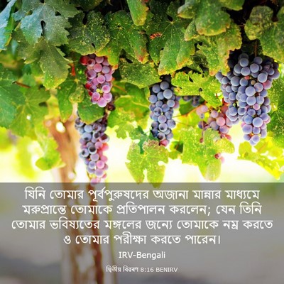 Picture 03 - দ্বিতীয় বিৱৰণ 8:16 BENIRV - যিনি তোমার - Bible Verse Picture