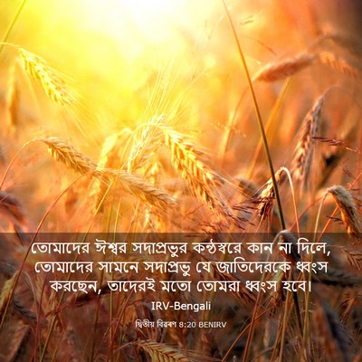Picture 03 - দ্বিতীয় বিৱৰণ 8:20 BENIRV - তোমাদের ঈশ্বর - Bible Verse Picture