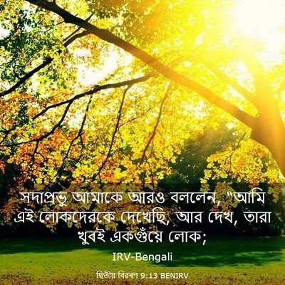 Picture 03 - দ্বিতীয় বিৱৰণ 9:13 BENIRV - সদাপ্রভু আমাকে - Bible Verse Picture