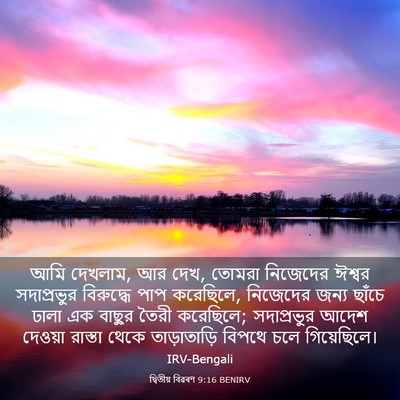 Picture 03 - দ্বিতীয় বিৱৰণ 9:16 BENIRV - আমি দেখলাম, আর দেখ, - Bible Verse Picture