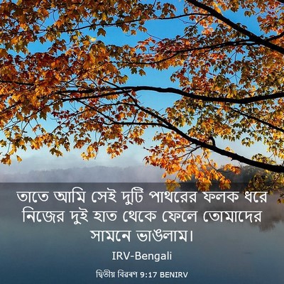 Picture 03 - দ্বিতীয় বিৱৰণ 9:17 BENIRV - তাতে আমি সেই দুটি - Bible Verse Picture