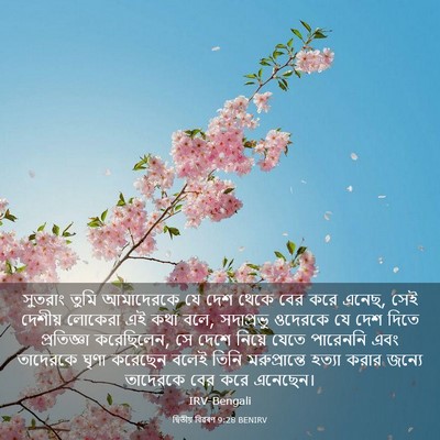 Picture 03 - দ্বিতীয় বিৱৰণ 9:28 BENIRV - সুতরাং তুমি - Bible Verse Picture