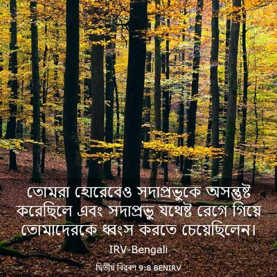 Picture 03 - দ্বিতীয় বিৱৰণ 9:8 BENIRV - তোমরা হোরেবেও - Bible Verse Picture