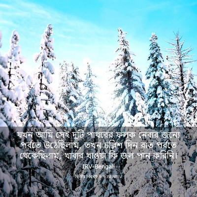 Picture 03 - দ্বিতীয় বিৱৰণ 9:9 BENIRV - যখন আমি সেই দুটি - Bible Verse Picture