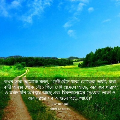 Picture 03 - নহিমিয়া 1:3 BENIRV - তখন তারা আমাকে বলল, - Bible Verse Picture