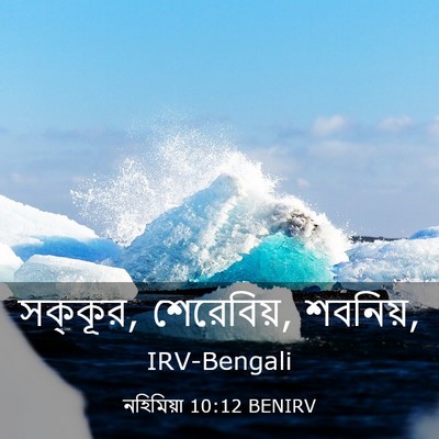 Picture 03 - নহিমিয়া 10:12 BENIRV - সক্কূর, শেরেবিয়, - Bible Verse Picture